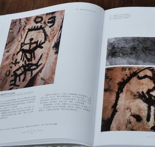 《云南岩画艺术》，精装，16开铜版彩印，邓启耀著，云南人民出版社2006年版，定价258，售价98元。
  商品图8