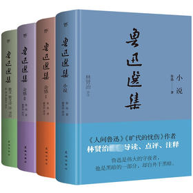 鲁迅选集 套装(全4册) 刷边版