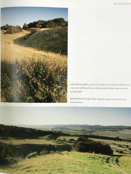 走进黑暗时代：探索英国与爱尔兰的中世纪早期遗址 百余幅插图 精装大16开 商品图13