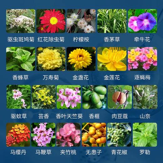 清仓！澳洲AIRUSH艾尔士 除虫喷雾 60ml/瓶 商品图2