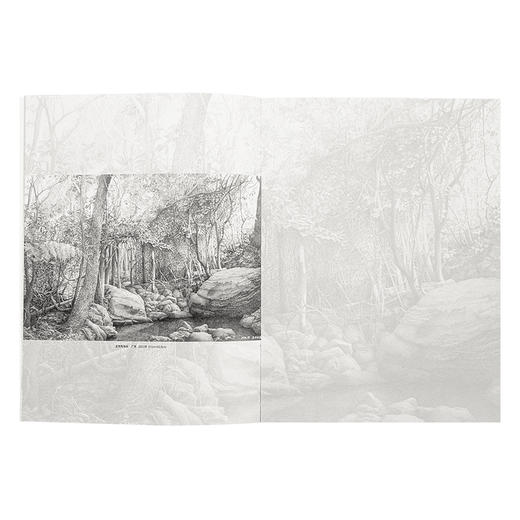 《自然灰：马平植物生态画集》 商品图1