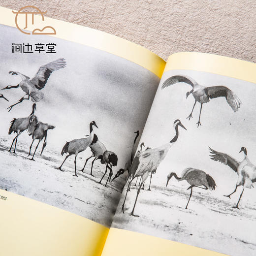 【绝版好书】《郎静山百龄嵩寿摄影回顾集》16开95页，1990年台历史博物馆初版 商品图4