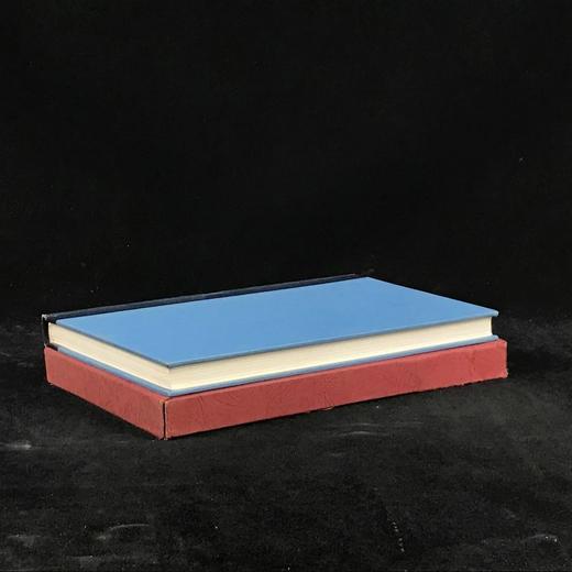 英国文学简史 39幅插图 精装18开带书匣 商品图1