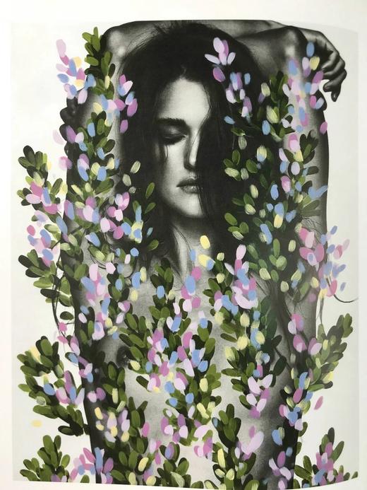 迈克尔·德费奥的鲜花 200余幅插图 精装16开 商品图13