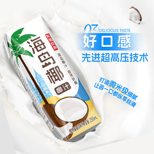 【金秋福利 领券下单立减10元】东鹏海岛椰椰汁250ml*24盒整箱植物蛋白饮料  生榨鲜椰浆 商品图5