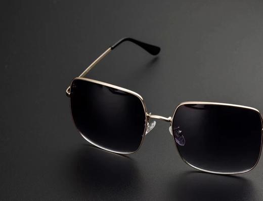 无补！福利！原！品牌墨镜 24RR983 商品图3