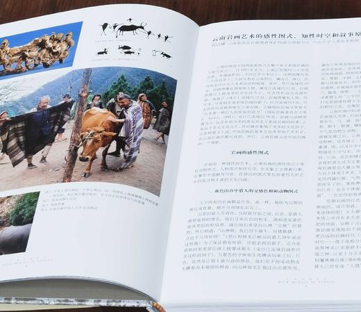 《云南岩画艺术》，精装，16开铜版彩印，邓启耀著，云南人民出版社2006年版，定价258，售价98元。
  商品图4