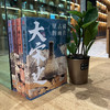 藏在古画里的历史系列（全4册）| 大宋史+大明史+大清史+大元史 商品缩略图3