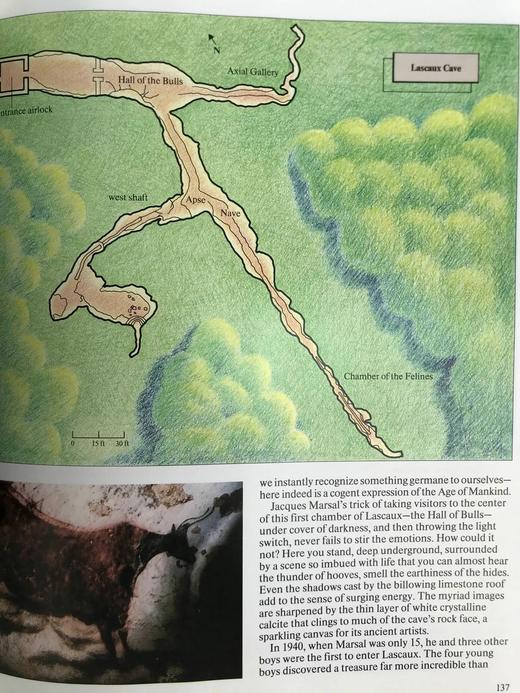 人类时代 数百幅插图 精装16开 商品图8