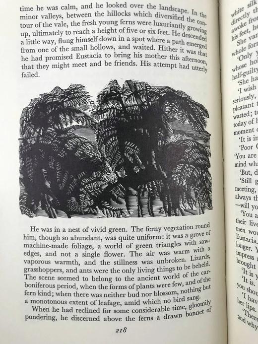 托马斯·哈代《还乡》（1986） 数十幅木版画插图 精装18开带书匣 商品图8