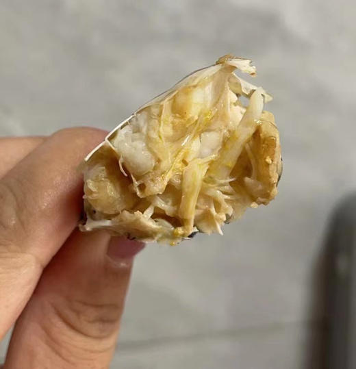 （鲜活小青蟹） 海蟹小肉蟹膏蟹鲜活小红鲟猷蠓5只一斤左右 商品图4