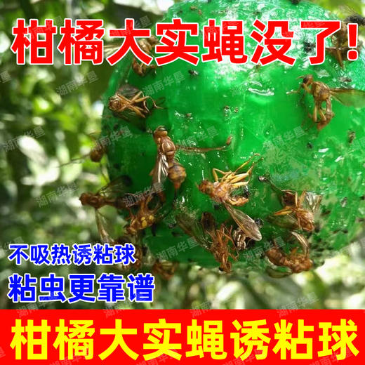 诱蝇球诱粘球大实蝇诱捕球瓜类柑橘果树针蜂实蝇诱虫球诱果实蝇球 商品图1