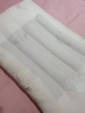 5F圣夫岛决明子木棉枕48*74cm