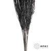 永生花材 | 山茅草黑色 商品缩略图1