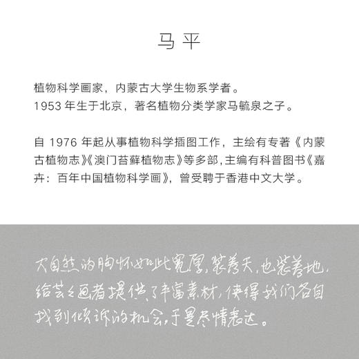 《自然灰：马平植物生态画集》 商品图4