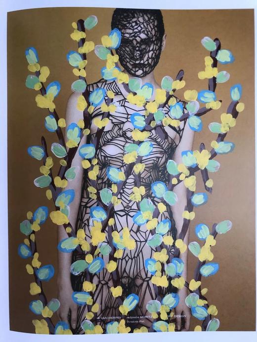 迈克尔·德费奥的鲜花 200余幅插图 精装16开 商品图14