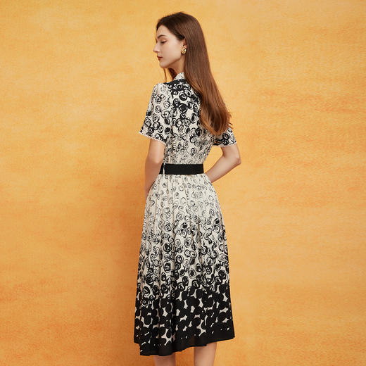 PF8B5斯尔丽24新款定位花配腰带收腰放摆显高显瘦连衣裙 商品图1