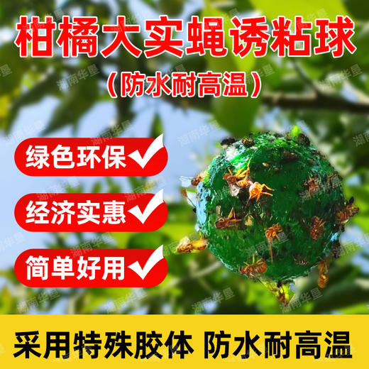 诱蝇球诱粘球大实蝇诱捕球瓜类柑橘果树针蜂实蝇诱虫球诱果实蝇球 商品图0