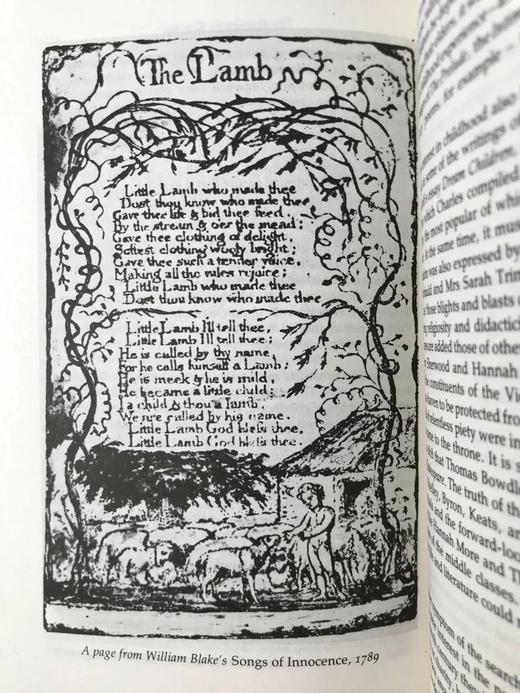 英国文学简史 39幅插图 精装18开带书匣 商品图6