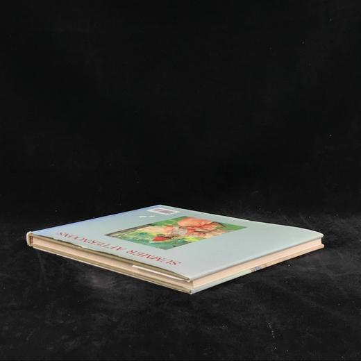 夏日午后：威廉·梅里特·蔡斯风景画集 88幅彩色37幅黑白插图 精装大16开 商品图2