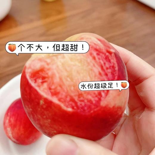 老米优品🍑个不大，但巨甜！《阳山水蜜桃》口口爆汁，新品种~ 蜜桃中的爱某仕 红珍珠水蜜桃 香甜可口 齿齿留香  爱不释口！孩子老人の真爱蜜桃！桃子水果当季 现摘！ 商品图0