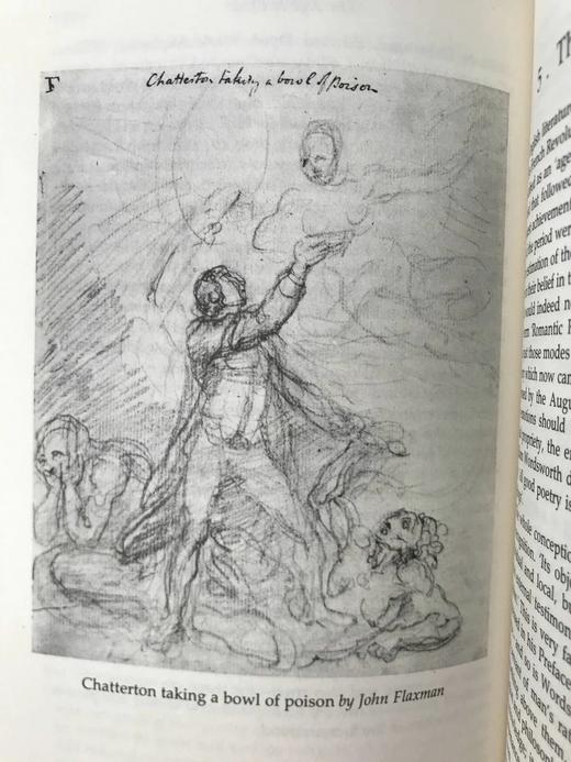 英国文学简史 39幅插图 精装18开带书匣 商品图9