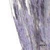 永生花材 | 山茅草浅紫 商品缩略图2