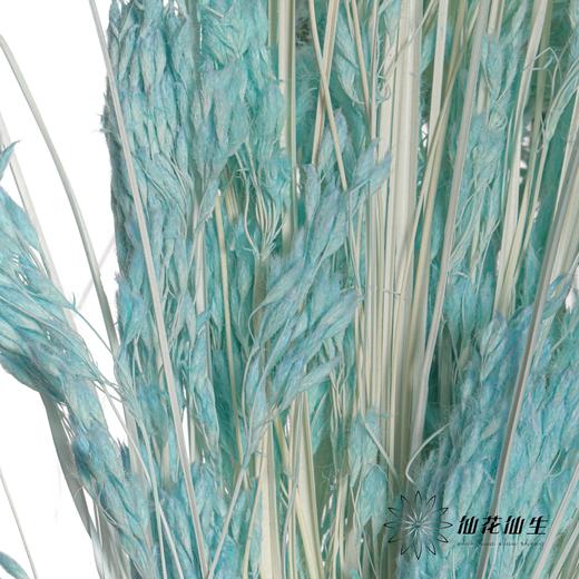 永生花材 | 山茅草天蓝 商品图2