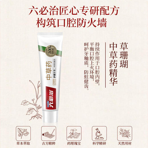 六必治 中草药护龈牙膏（留兰薄荷）120g*2支 商品图1