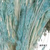 永生花材 | 山茅草天蓝 商品缩略图3