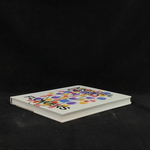 迈克尔·德费奥的鲜花 200余幅插图 精装16开 商品图1