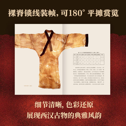《马王堆考古手记》| 一波三折的发掘历程 跌宕离奇的国宝往事 商品图2