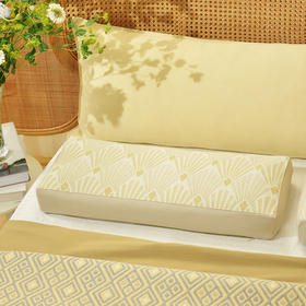 盖茨比系列竹纤维长方枕纯全荞麦壳枕头颈枕成人枕