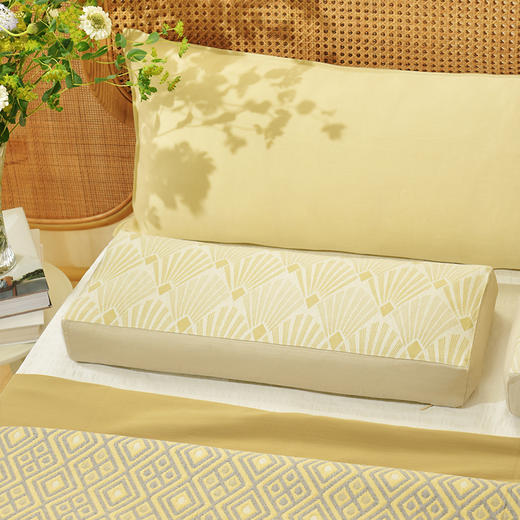 盖茨比系列竹纤维长方枕纯全荞麦壳枕头颈枕成人枕 商品图0