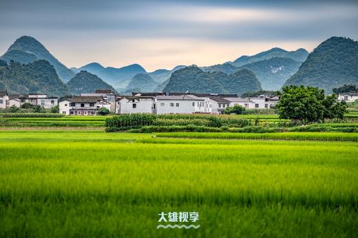 【多彩贵州 魅力黔西南】​万峰林、马岭河大峡谷、阿西里西大草原、韭菜坪、格凸河、黄果树、石头寨、天龙屯堡高铁8天摄影团 商品图1