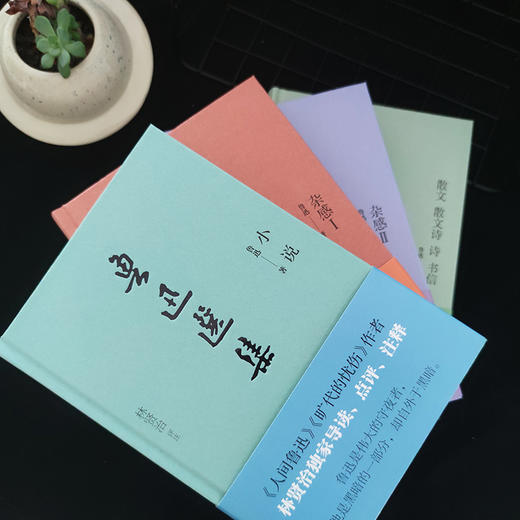 鲁迅选集 套装(全4册) 刷边版 商品图3