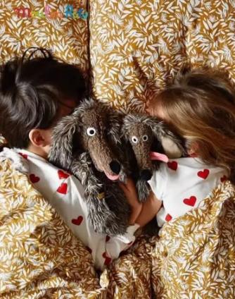 法国moulinroty法国儿童书籍玩偶系列-小号脏脏狗 高36厘米 商品图3