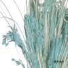 永生花材 | 山茅草天蓝 商品缩略图0