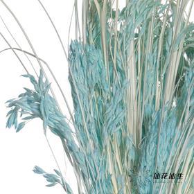 永生花材 | 山茅草天蓝