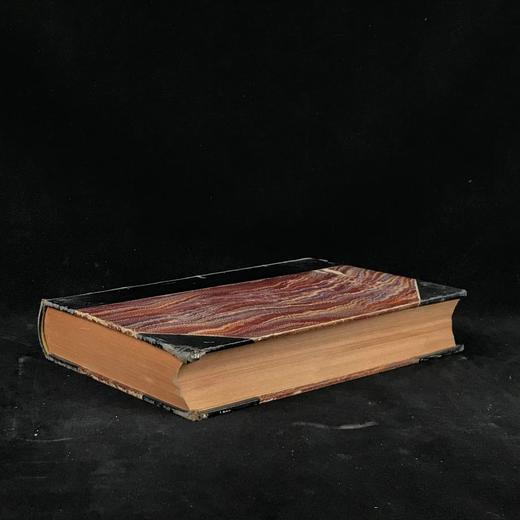 1890年 钱伯斯百科全书（卷6） 约百幅版画插图 真皮精装16开 商品图1