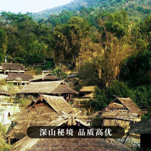 【绿票】联合葫芦谷茶农:李明 共同出品；甘甜如橄榄汁 暗含竹叶清稥 357克/饼 拍5发6拍20发25 商品图8