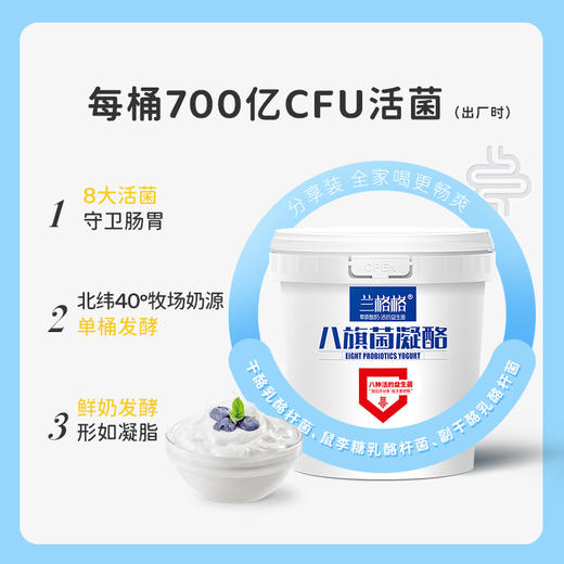 兰格格八旗菌凝酪760g*2桶 商品图1