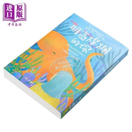 【中商原版】明亮灿烂的你 港台原版 雪比 范 裴特 寂寞 商品图3