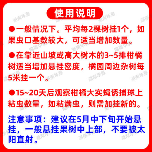 诱蝇球诱粘球大实蝇诱捕球瓜类柑橘果树针蜂实蝇诱虫球诱果实蝇球 商品图5