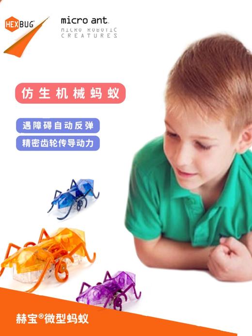 美国Hexbug赫宝机器虫系列遥控玩具 商品图7