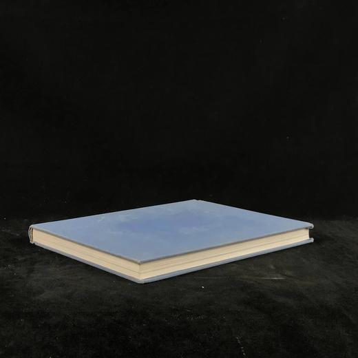 短暂的闪光时刻：缅怀肯尼迪 约百幅插图 精装16开 商品图1