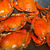 （鲜活小青蟹） 海蟹小肉蟹膏蟹鲜活小红鲟猷蠓5只一斤左右 商品缩略图2