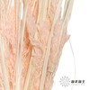 永生花材 | 山茅草浅粉 商品缩略图3