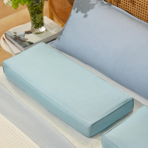 马卡龙系列竹纤维长方枕纯全荞麦壳枕头颈枕成人枕 商品图3