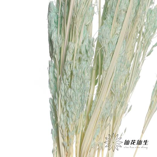 永生花材 | 山茅草蒂芙尼蓝 商品图3